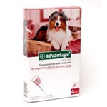 Advantage 250 Spot on for Dogs  - 4 pipettes